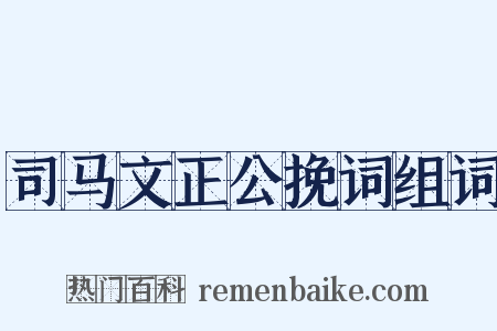司马文正公挽词组词是什么意思的图片